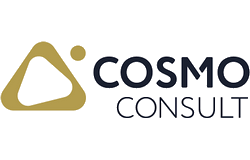 COSMO CONSULT