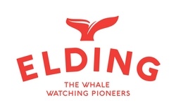 Elding